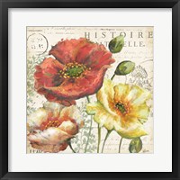 Framed Spice Poppies Histoire Naturelle I