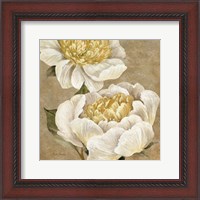 Framed Up Close Cream Peony