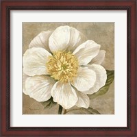 Framed Up Close Cream Rose