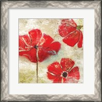 Framed Poppy Passion I