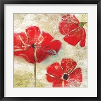 Framed Poppy Passion I