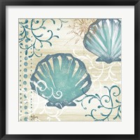 Framed Tranquil Shell I