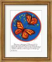 Framed Monarch