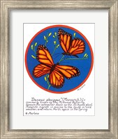 Framed Monarch