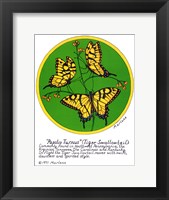 Framed Tiger Swallowtail