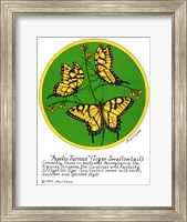 Framed Tiger Swallowtail