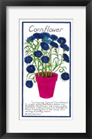 Framed Cornflower