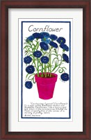 Framed Cornflower