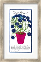 Framed Cornflower