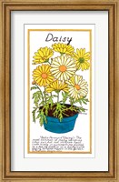 Framed Daisy