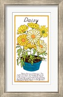 Framed Daisy