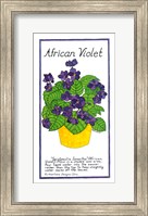 Framed African Violet