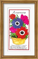 Framed Anemone