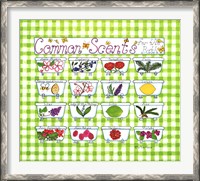 Framed Common Scents