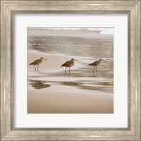Framed Shore Birds II
