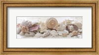 Framed Treasures by the Sea II