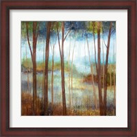 Framed Soft Forest II