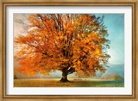 Framed Autumn's Passion