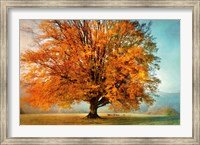 Framed Autumn's Passion