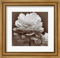 Framed Sepia Blossoms II