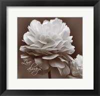 Sepia Blossoms II Framed Print
