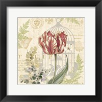 Floral Nature Trail II Framed Print