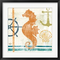 Framed Nautical Brights IV