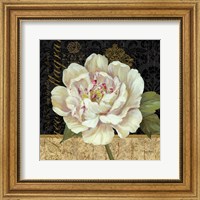 Framed Antique Still Life Peony