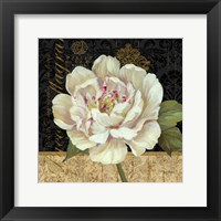 Framed Antique Still Life Peony