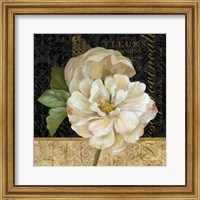 Framed Antique Still Life Rose