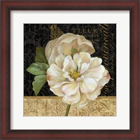 Framed Antique Still Life Rose