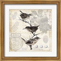 Framed Botanical Birds Black Cream I