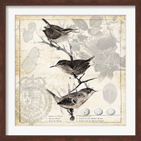 Framed Botanical Birds Black Cream I