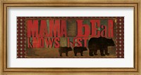 Framed Don't Feed Mama Bear I
