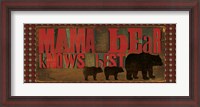 Framed Don't Feed Mama Bear I