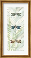 Framed Dragonfly Botanical Panels I