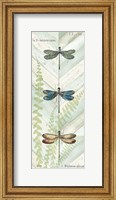 Framed Dragonfly Botanical Panels I