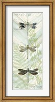 Framed Dragonfly Botanical Panels II