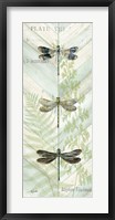 Framed Dragonfly Botanical Panels II