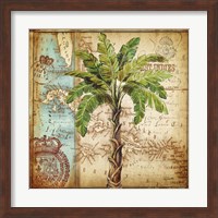 Framed Antique Nautical Palms I