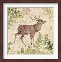 Framed Woodland Trail I (Deer)