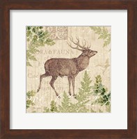 Framed Woodland Trail I (Deer)