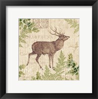Woodland Trail I (Deer) Framed Print