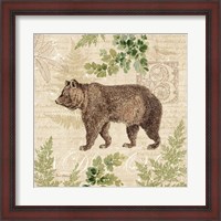 Framed Woodland Trail II (Bear)