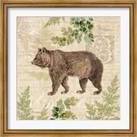 Framed Woodland Trail II (Bear)