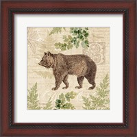 Framed Woodland Trail II (Bear)