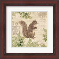 Framed Woodland Trail III (Squirrel)