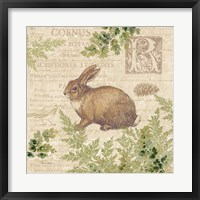 Framed Woodland Trail IV (Rabbit)