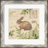 Framed 'Woodland Trail IV (Rabbit)' border=
