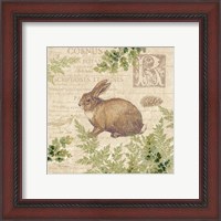 Framed 'Woodland Trail IV (Rabbit)' border=